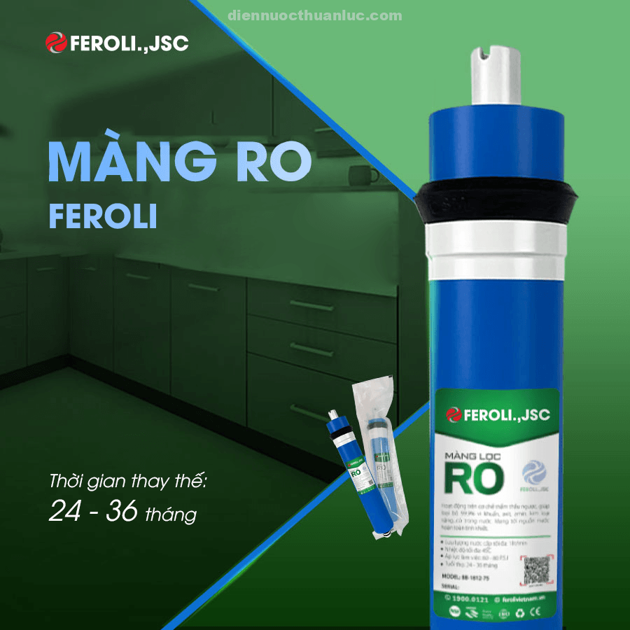 màng lọc RO Feroli màng lọc ro feroli