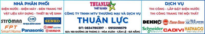 Lĩnh vực hoạt động