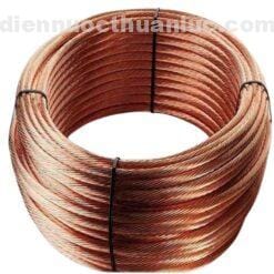 Cáp đồng trần C10 Cadivi 2