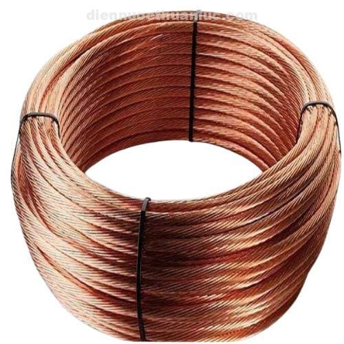 cap-dong-tran-c10-cadivi-2 Cáp đồng trần C10 Cadivi 2