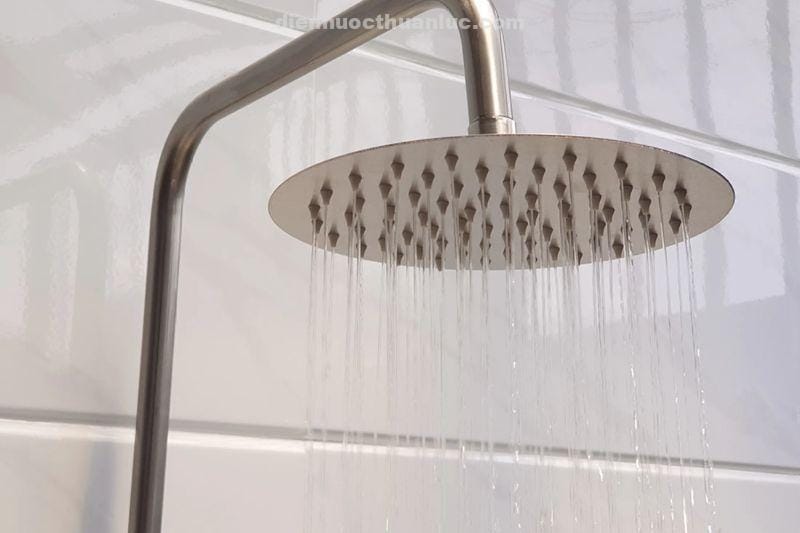 sen-cay-nong-lanh-kn-s01-eurolife-dai-sen-tron-tam-mua