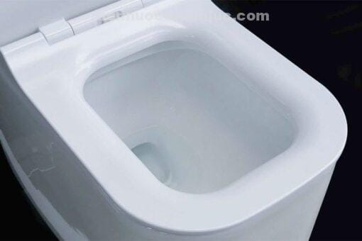 4 lỗ xả xoáy mạnh trên thân bồn cầu 1 khối EL-LUX0313 Eurolife