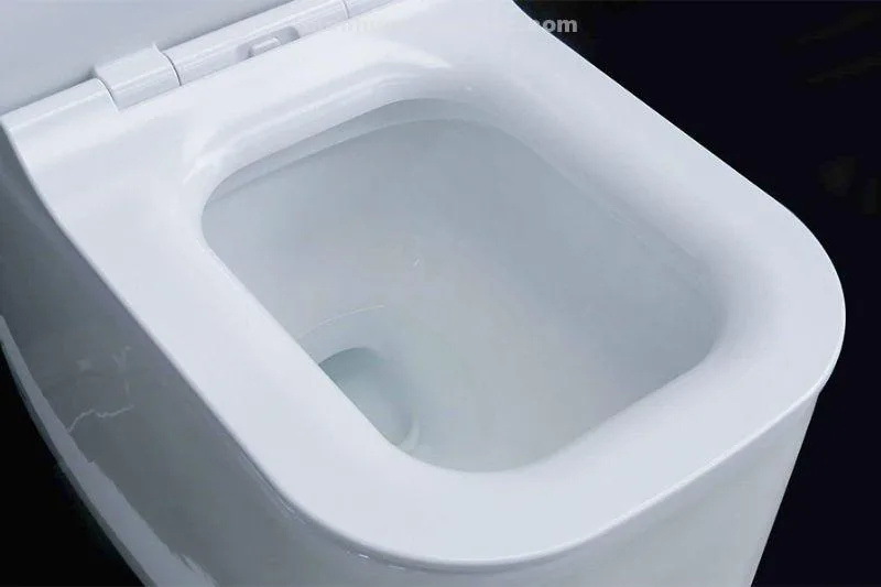 4 lỗ xả xoáy mạnh trên thân bồn cầu 1 khối EL-LUX0313 Eurolife