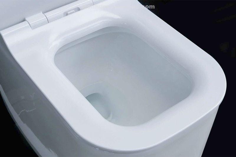 4-lo-xa-xoay-manh-tren-than-bon-cau-1-khoi-el-lux0313-eurolife 4 lỗ xả xoáy mạnh trên thân bồn cầu 1 khối EL-LUX0313 Eurolife