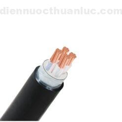 Dây cáp điện Cadivi CXV/DSTA 3x50+1x25 mm