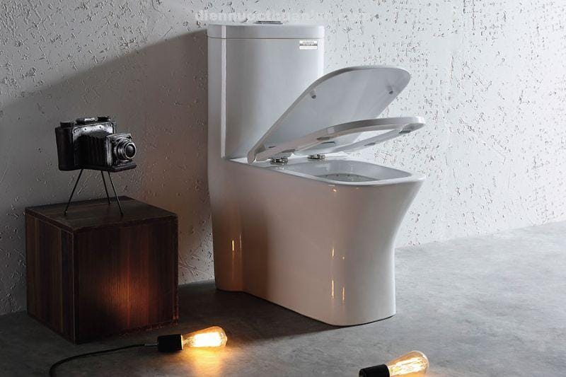 anh-thuc-te-bon-cau-1-khoi-el-lux011-eurolife-1 Ảnh thực tế bồn cầu 1 khối EL-LUX011 Eurolife