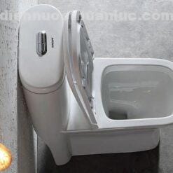 Thực tế lắp đặt bồn cầu 1 khối EL-LUX011 Eurolife