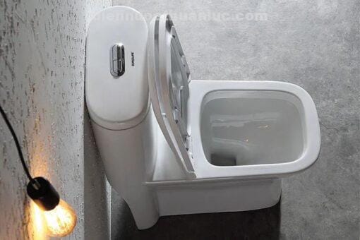 Thực tế lắp đặt bồn cầu 1 khối EL-LUX011 Eurolife