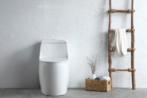 Ảnh thực tế bồn cầu 1 khối EL-LUX0310 Eurolife