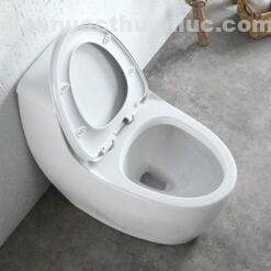 Ảnh thực tế bồn cầu 1 khối EL-LUX0310 Eurolife