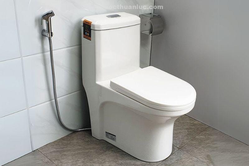 anh-thuc-te-bon-cau-1-khoi-su-nano-diet-khuan-el-bc2077-eurolife-1 Ảnh thực tế bồn cầu 1 khối sứ Nano diệt khuẩn EL-BC2077 Eurolife