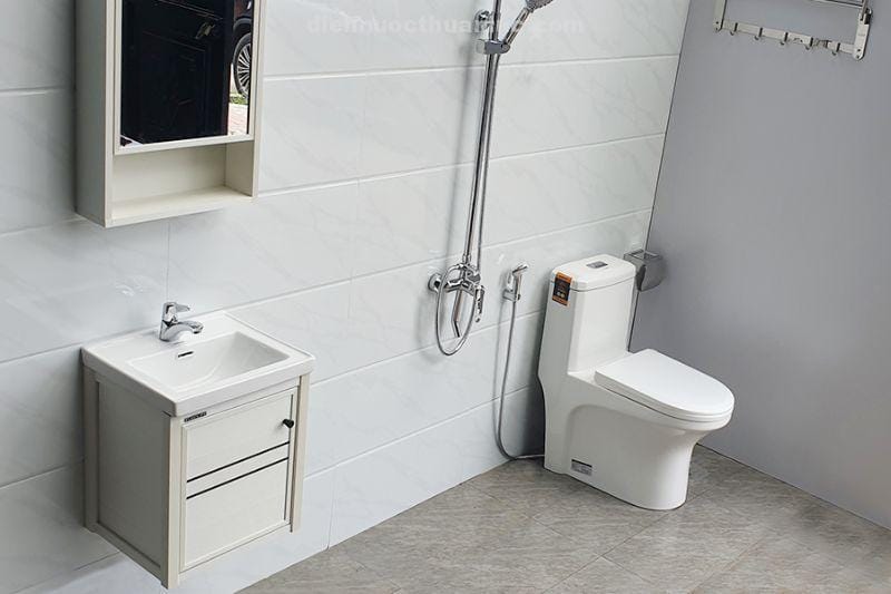 anh-thuc-te-bon-cau-1-khoi-su-nano-diet-khuan-el-bc2077-eurolife-2 Ảnh thực tế lắp đặt bồn cầu 1 khối sứ Nano diệt khuẩn EL-BC2077 Eurolife