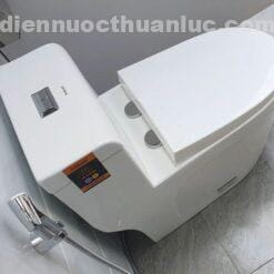 Ảnh thực tế bồn cầu 1 khối sứ Nano EL-BC216 Eurolife