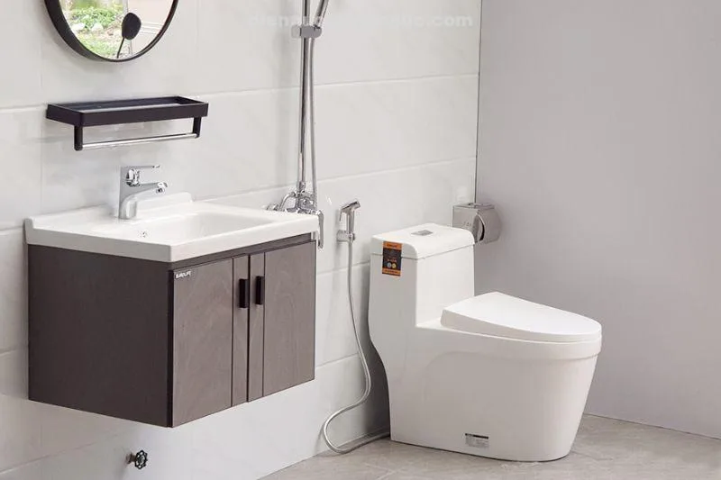 Ảnh thực tế bồn cầu 1 khối sứ Nano EL-BC216 Eurolife