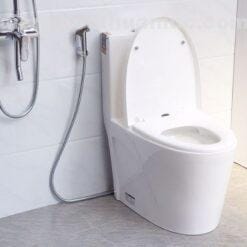 Bồn cầu 1 khối sứ Nano EL-BC218 Eurolife sang trọng tiện nghi