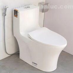 Ảnh thực tế bồn cầu 1 khối sứ Nano EL-BC262 Eurolife