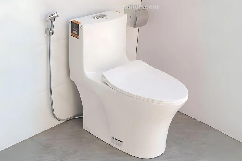 anh-thuc-te-bon-cau-1-khoi-su-nano-el-bc262-eurolife-2 Ảnh thực tế bồn cầu 1 khối sứ Nano EL-BC262 Eurolife