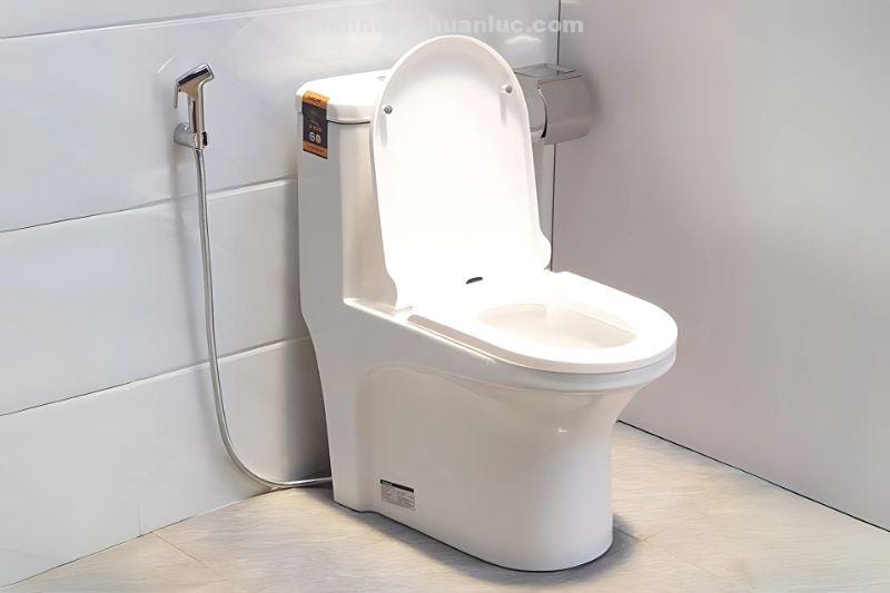 anh-thuc-te-nap-bon-cau-chat-lieu-nhua-pp-el-ps2077-eurolife-2 Ảnh nắp bồn cầu chất liệu nhựa PP EL-PS2077 Eurolife lắp đặt thực tế