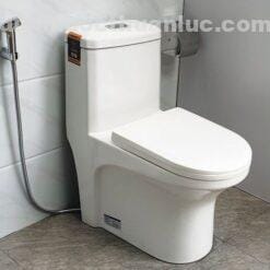 Ảnh thực tế nắp bồn cầu chất liệu nhựa PP EL-PS2077 Eurolife