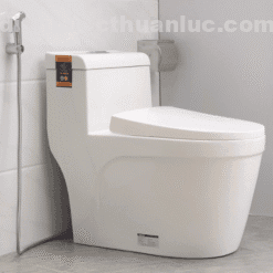 Ảnh thực tế nắp bồn cầu chất liệu nhựa PP EL-PS216 Eurolife