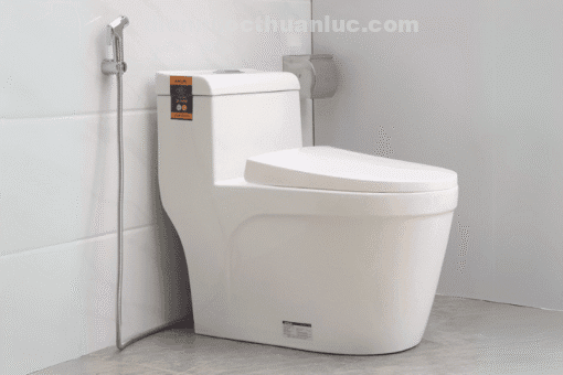 Ảnh thực tế nắp bồn cầu chất liệu nhựa PP EL-PS216 Eurolife
