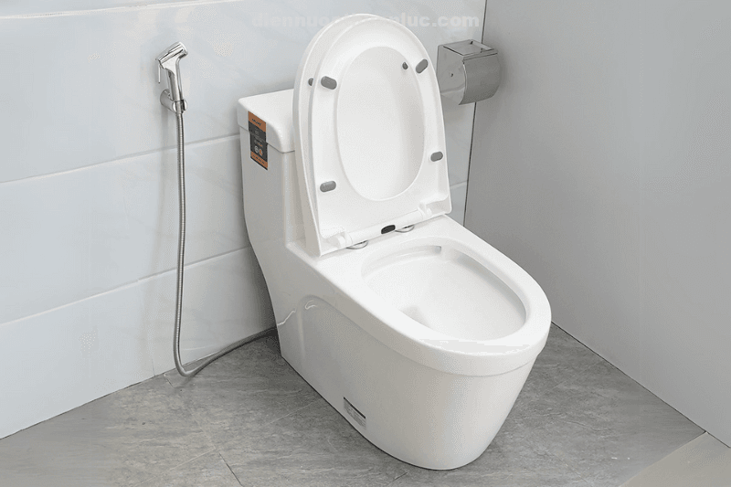 anh-thuc-te-nap-bon-cau-chat-lieu-nhua-pp-el-ps216-eurolife-2 Ảnh thực tế lắp đặt nắp bồn cầu chất liệu nhựa PP EL-PS216 Eurolife