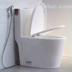 Ảnh thực tế lắp đặt nắp bồn cầu chất liệu nhựa PP EL-PS218 Eurolife