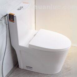 Thực tế lắp nắp bồn cầu chất liệu nhựa PP EL-PS218 Eurolife