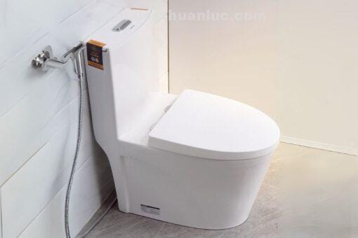 Thực tế lắp nắp bồn cầu chất liệu nhựa PP EL-PS218 Eurolife