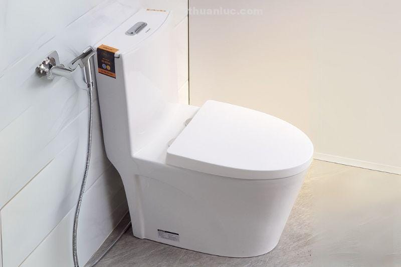 anh-thuc-te-nap-bon-cau-chat-lieu-nhua-pp-el-ps218-eurolife-2 Thực tế lắp nắp bồn cầu chất liệu nhựa PP EL-PS218 Eurolife