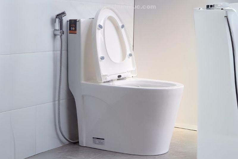 anh-thuc-te-nap-bon-cau-chat-lieu-nhua-pp-el-ps218-eurolife-3 Ảnh thực tế nắp bồn cầu chất liệu nhựa PP EL-PS218 Eurolife