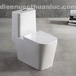 Bồn cầu 1 khối EL-LUX035 Eurolife chất liệu men sứ cao cấp