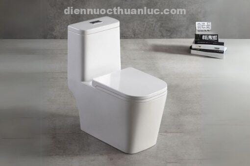 Bồn cầu 1 khối EL-LUX035 Eurolife chất liệu men sứ cao cấp