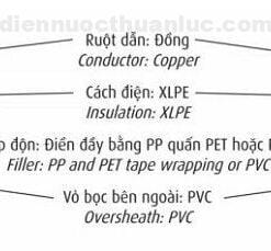cấu trúc Dây cáp điện 4 lõi Cadivi CXV