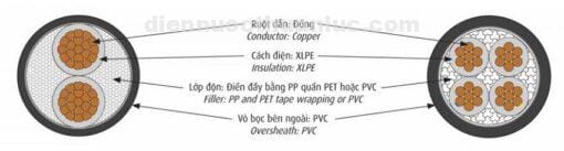 cấu trúc Dây cáp điện 4 lõi Cadivi CXV