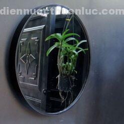 Gương tròn tủ lavabo 600*480*530 BLV-PM04 Eurolife