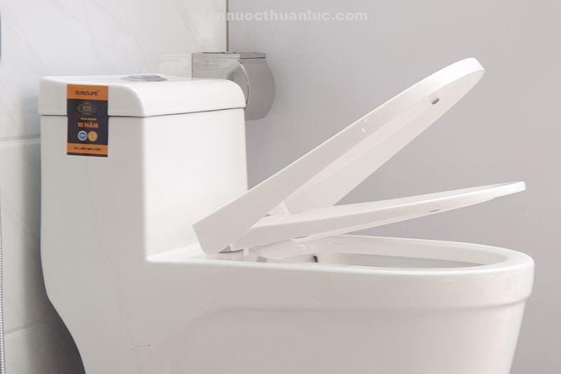 nap-bon-cau-1-khoi-su-nano-el-bc216-eurolife-em-ai Nắp bồn cầu 1 khối sứ Nano EL-BC216 Eurolife