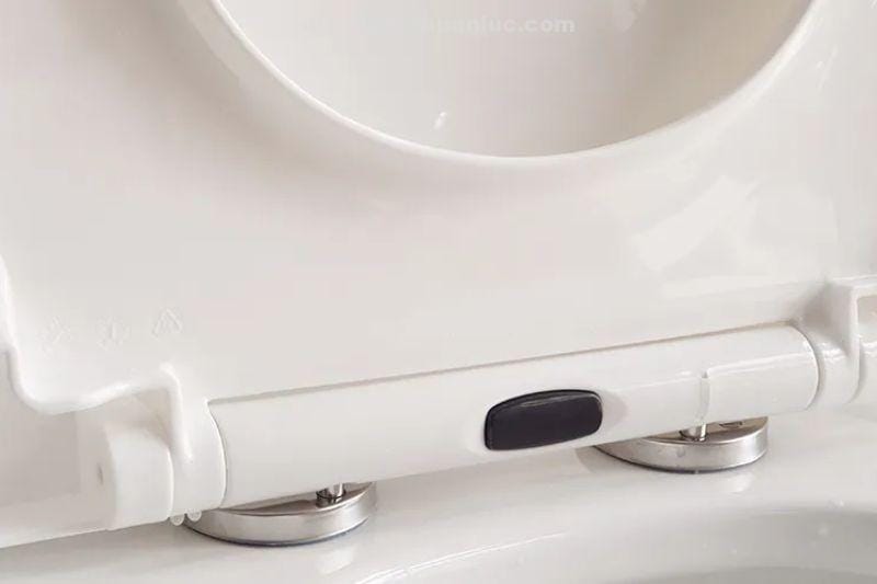 nut-nhan-thao-lap-nap-bon-cau-1-khoi-el-lux011-eurolife-don-gian