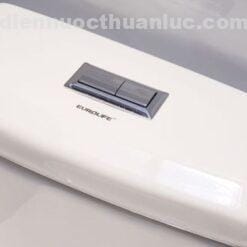 Nút nhấn xả 2 chế độ của bồn cầu 1 khối sứ Nano diệt khuẩn EL-BC2077 Eurolife