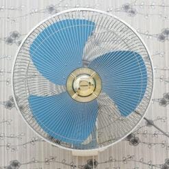 Quạt treo tường Panasonic F-409UB