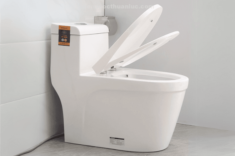 thuc-te-lap-dat-nap-bon-cau-chat-lieu-nhua-pp-el-ps216-eurolife Thực tế lắp đặt nắp bồn cầu chất liệu nhựa PP EL-PS216 Eurolife