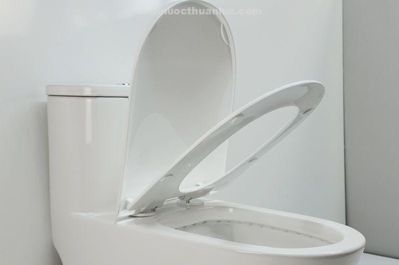 bon-cau-1-khoi-el-lux8268-eurolife-voi-nap-dong-em Nắp bồn cầu 1 khối EL-LUX8268 Eurolife