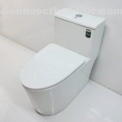 Bồn cầu 1 khối EL-LUX8298 Eurolife