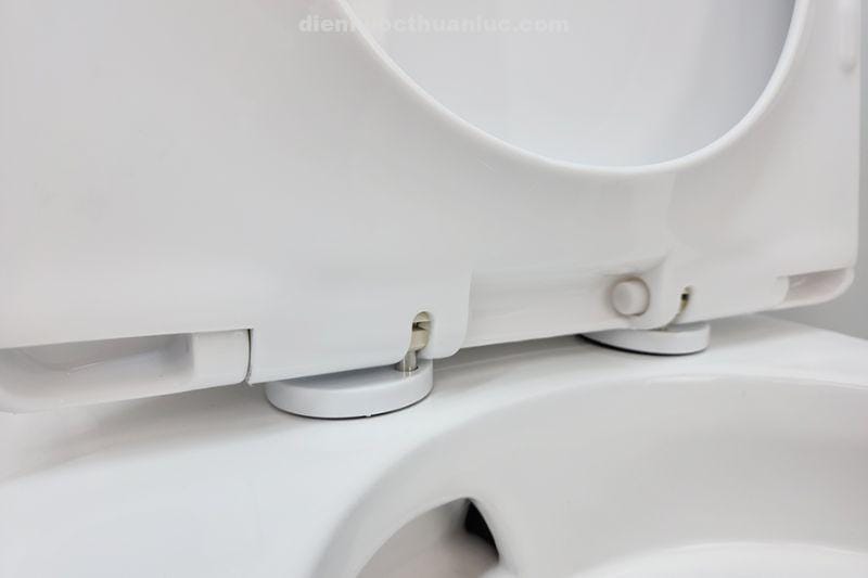 nut-nhan-thao-lap-bon-cau-1-khoi-el-lux8254-eurolife-don-gian Nút nhấn tháo lắp bồn cầu 1 khối EL-LUX8254 Eurolife